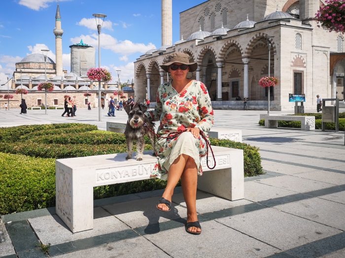 Turcja darmowe atrakcje
co warto zobaczyć w Turcji
Konya
pokaz derwiszy
wirujące derwisze